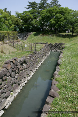 二ノ丸水路｜高解像度画像サイズ：3328 x 4992 pixels｜写真番号：VJ7Z7074｜撮影：Canon EOS-1Ds Mark II