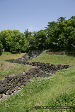 二ノ丸水路｜高解像度画像サイズ：3328 x 4992 pixels｜写真番号：VJ7Z7081｜撮影：Canon EOS-1Ds Mark II