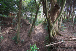 大手郭 | 高解像度画像サイズ：4992 x 3328 pixels | 写真番号：VJ7Z3015 | 撮影：Canon EOS-1Ds Mark II