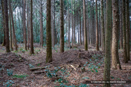 馬場跡 | 高解像度画像サイズ：4992 x 3328 pixels | 写真番号：VJ7Z3022 | 撮影：Canon EOS-1Ds Mark II