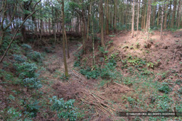 三号堀 | 高解像度画像サイズ：4992 x 3328 pixels | 写真番号：VJ7Z3025 | 撮影：Canon EOS-1Ds Mark II