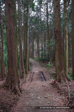 帯郭門 | 高解像度画像サイズ：3328 x 4992 pixels | 写真番号：VJ7Z3028 | 撮影：Canon EOS-1Ds Mark II