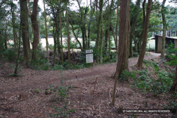 6号掘 | 高解像度画像サイズ：4992 x 3328 pixels | 写真番号：VJ7Z3038 | 撮影：Canon EOS-1Ds Mark II