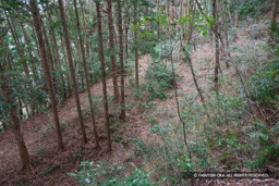 16号掘 | 高解像度画像サイズ：4992 x 3328 pixels | 写真番号：VJ7Z3056 | 撮影：Canon EOS-1Ds Mark II