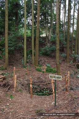 カンカン井戸 | 高解像度画像サイズ：3328 x 4992 pixels | 写真番号：VJ7Z3070 | 撮影：Canon EOS-1Ds Mark II