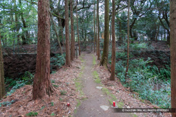 土橋 | 高解像度画像サイズ：4992 x 3328 pixels | 写真番号：VJ7Z3078 | 撮影：Canon EOS-1Ds Mark II