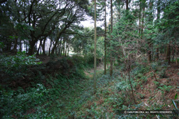 4号掘 | 高解像度画像サイズ：4992 x 3328 pixels | 写真番号：VJ7Z3079 | 撮影：Canon EOS-1Ds Mark II