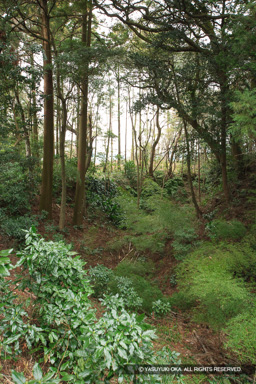 9号掘 | 高解像度画像サイズ：3328 x 4992 pixels | 写真番号：VJ7Z3090 | 撮影：Canon EOS-1Ds Mark II