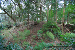 12号掘 | 高解像度画像サイズ：4992 x 3328 pixels | 写真番号：VJ7Z3094 | 撮影：Canon EOS-1Ds Mark II