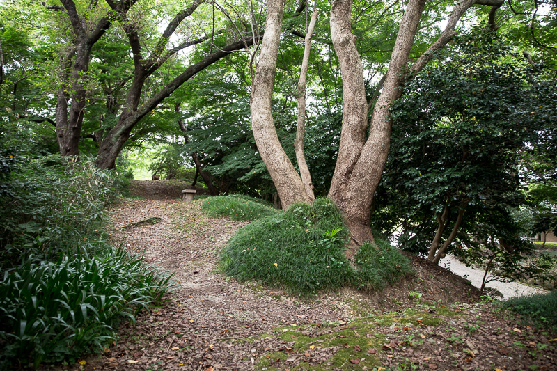 本丸土塁
