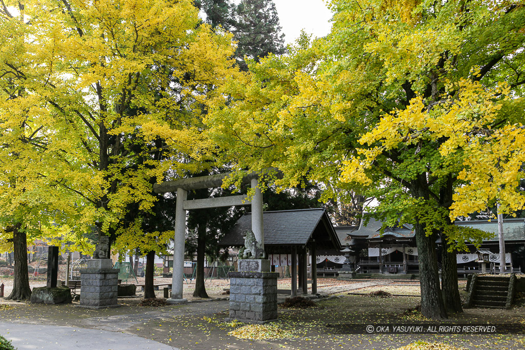 諏訪護国神社