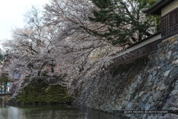 高島城の堀｜高解像度画像サイズ：5184 x 3456 pixels｜写真番号：1DX_8453｜撮影：Canon EOS-1D X