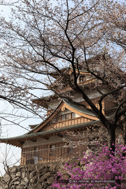 高島城天守と桜｜高解像度画像サイズ：3112 x 4668 pixels｜写真番号：1DX_8490｜撮影：Canon EOS-1D X