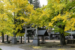 諏訪護国神社｜高解像度画像サイズ：4795 x 3196 pixels｜写真番号：VJ7Z8582｜撮影：Canon EOS-1Ds Mark II