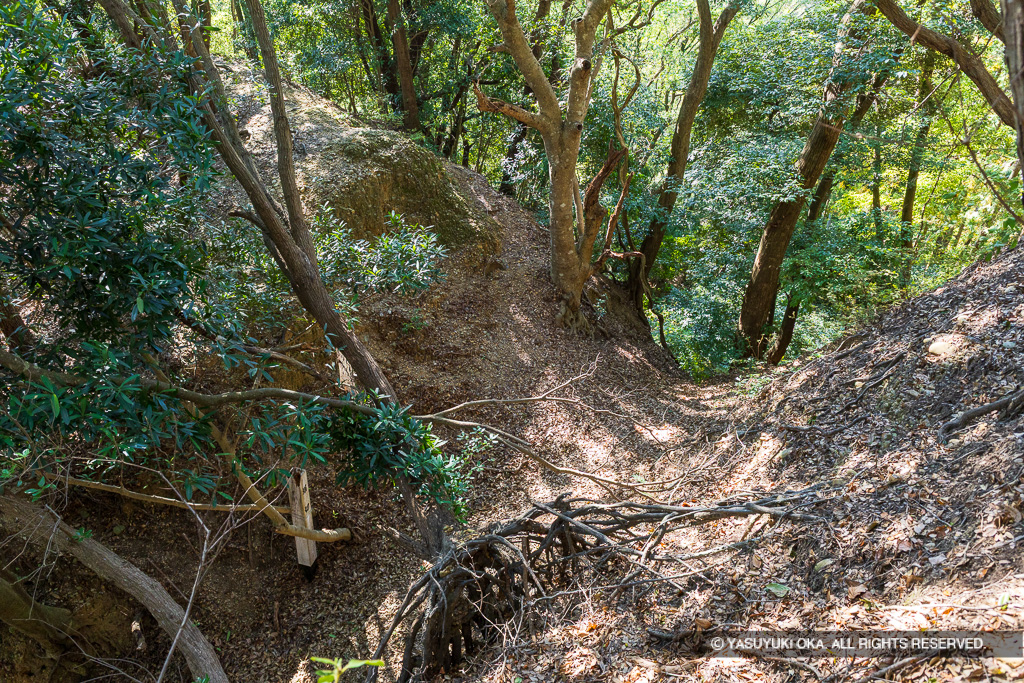 見張台下の堀切