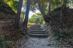 堀切 | 高解像度画像サイズ：8192 x 5464 pixels | 写真番号：6F1A5620 | 撮影：Canon EOS R5m2