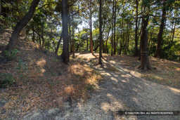 的場曲輪跡 | 高解像度画像サイズ：8192 x 5464 pixels | 写真番号：6F1A5631 | 撮影：Canon EOS R5m2