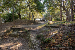 高天神城本丸虎口跡 | 高解像度画像サイズ：8192 x 5464 pixels | 写真番号：6F1A5632 | 撮影：Canon EOS R5m2