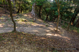 本丸虎口跡 | 高解像度画像サイズ：8192 x 5464 pixels | 写真番号：6F1A5636 | 撮影：Canon EOS R5m2