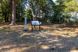 本丸跡 | 高解像度画像サイズ：8073 x 5385 pixels | 写真番号：6F1A5644 | 撮影：Canon EOS R5m2