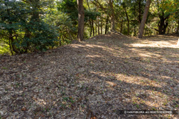 本丸土塁 | 高解像度画像サイズ：8192 x 5464 pixels | 写真番号：6F1A5646 | 撮影：Canon EOS R5m2