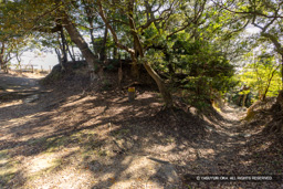 御前曲輪跡 | 高解像度画像サイズ：8192 x 5464 pixels | 写真番号：6F1A5649 | 撮影：Canon EOS R5m2