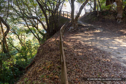 本丸の断崖 | 高解像度画像サイズ：8192 x 5464 pixels | 写真番号：6F1A5650 | 撮影：Canon EOS R5m2