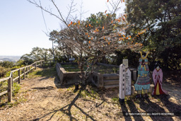御前曲輪跡・模擬天守跡 | 高解像度画像サイズ：8192 x 5464 pixels | 写真番号：6F1A5665 | 撮影：Canon EOS R5m2