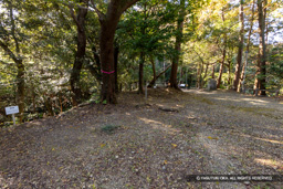 井戸曲輪 | 高解像度画像サイズ：8192 x 5464 pixels | 写真番号：6F1A5679 | 撮影：Canon EOS R5m2