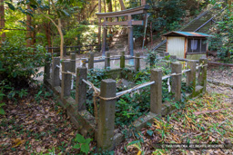 高天神城・井戸曲輪 | 高解像度画像サイズ：7741 x 5163 pixels | 写真番号：6F1A5684 | 撮影：Canon EOS R5m2