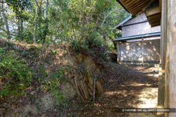  | 高解像度画像サイズ：8192 x 5464 pixels | 写真番号：6F1A5693 | 撮影：Canon EOS R5m2