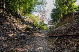 西の丸の堀切 | 高解像度画像サイズ：8192 x 5464 pixels | 写真番号：6F1A5697 | 撮影：Canon EOS R5m2