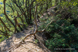 甚五郎抜け道 | 高解像度画像サイズ：8192 x 5464 pixels | 写真番号：6F1A5705 | 撮影：Canon EOS R5m2