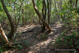 見張台 | 高解像度画像サイズ：8192 x 5464 pixels | 写真番号：6F1A5713 | 撮影：Canon EOS R5m2