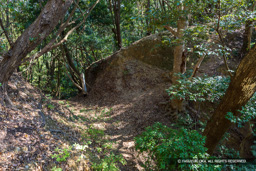 見張台下の堀切 | 高解像度画像サイズ：8192 x 5464 pixels | 写真番号：6F1A5718 | 撮影：Canon EOS R5m2