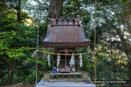 尾白稲荷 | 高解像度画像サイズ：8192 x 5464 pixels | 写真番号：6F1A5722 | 撮影：Canon EOS R5m2