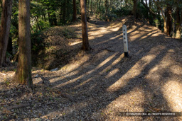 袖曲輪跡 | 高解像度画像サイズ：7051 x 4703 pixels | 写真番号：6F1A5730 | 撮影：Canon EOS R5m2