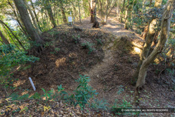 袖曲輪跡の堀切・高天神城 | 高解像度画像サイズ：7895 x 5266 pixels | 写真番号：6F1A5731 | 撮影：Canon EOS R5m2