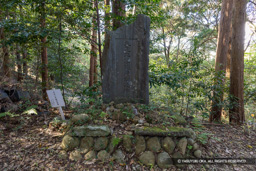 天正二年戦死者之碑 | 高解像度画像サイズ：8192 x 5464 pixels | 写真番号：6F1A5737 | 撮影：Canon EOS R5m2