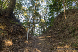 袖曲輪跡の堀切 | 高解像度画像サイズ：8192 x 5464 pixels | 写真番号：6F1A5739 | 撮影：Canon EOS R5m2