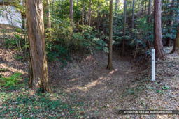 空掘（西峰） | 高解像度画像サイズ：8192 x 5464 pixels | 写真番号：6F1A5741 | 撮影：Canon EOS R5m2