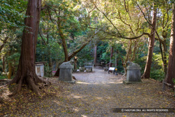 井戸曲輪跡 | 高解像度画像サイズ：8192 x 5464 pixels | 写真番号：6F1A5768 | 撮影：Canon EOS R5m2