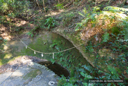 三日月井戸 | 高解像度画像サイズ：8192 x 5464 pixels | 写真番号：6F1A5773 | 撮影：Canon EOS R5m2