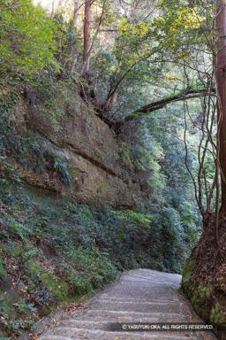 高天神城の搦手道の断崖 | 高解像度画像サイズ：5464 x 8192 pixels | 写真番号：6F1A5776 | 撮影：Canon EOS R5m2