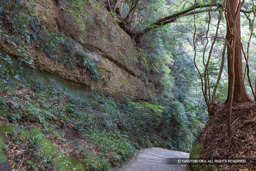 高天神城の搦手道の断崖 | 高解像度画像サイズ：8192 x 5464 pixels | 写真番号：6F1A5778 | 撮影：Canon EOS R5m2