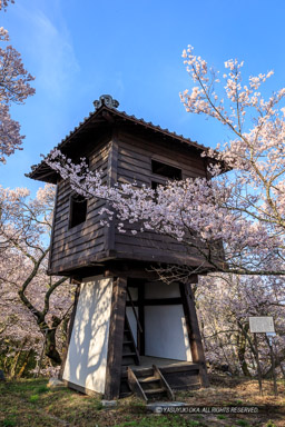 太鼓櫓と桜｜高解像度画像サイズ：3456 x 5184 pixels｜写真番号：1DX_8151｜撮影：Canon EOS-1D X