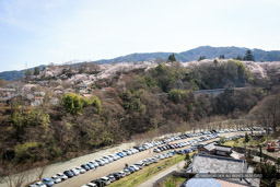 桜に包まれる高遠城遠景｜高解像度画像サイズ：5184 x 3456 pixels｜写真番号：1DX_8260｜撮影：Canon EOS-1D X