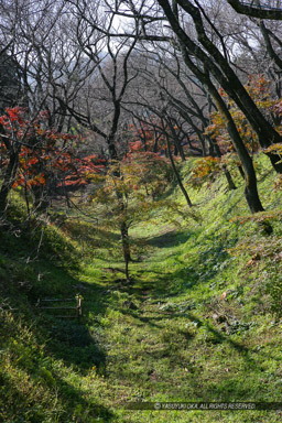 空堀｜高解像度画像サイズ：3328 x 4992 pixels｜写真番号：VJ7Z8640｜撮影：Canon EOS-1Ds Mark II