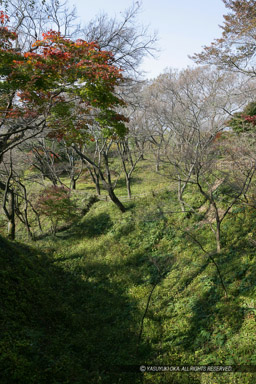 空堀｜高解像度画像サイズ：3328 x 4992 pixels｜写真番号：VJ7Z8720｜撮影：Canon EOS-1Ds Mark II