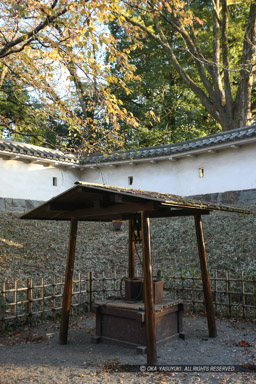 ｜高解像度画像サイズ：3543 x 5314 pixels｜写真番号：1P3J4951｜撮影：Canon EOS-1Ds Mark III